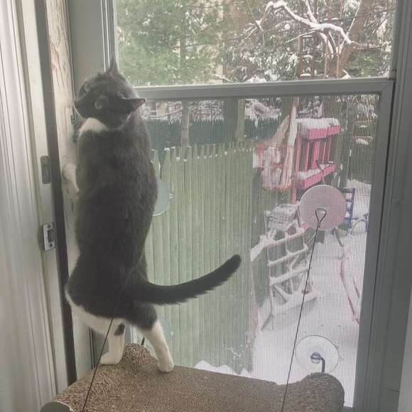 Meet your Posher, Yelle - Picture 3 of 9